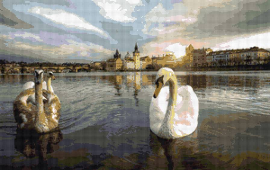 Лебеди - предпросмотр