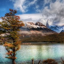 Схема вышивки «природа»