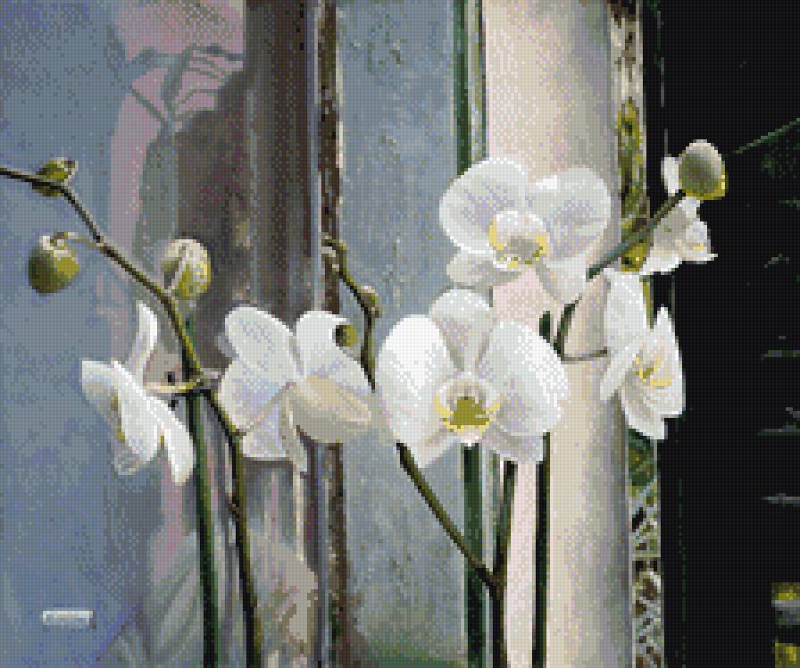 Орхидея белая - предпросмотр