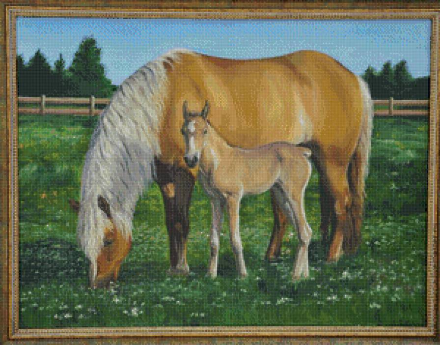 под защитой - животные, лошади - предпросмотр