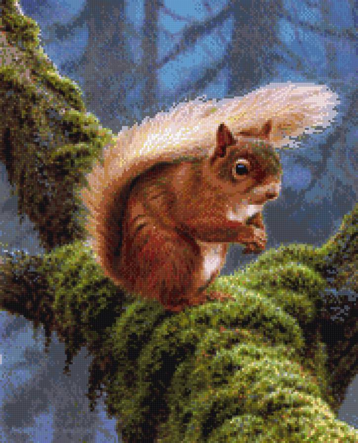 Белочка - белка - предпросмотр