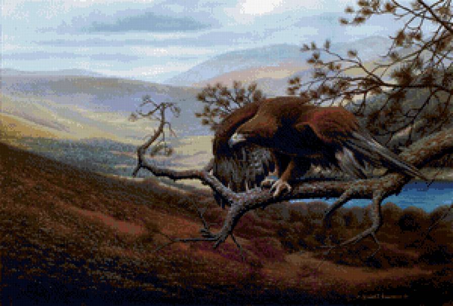 горный орёл - горы, хищник, животные, птица, орел - предпросмотр