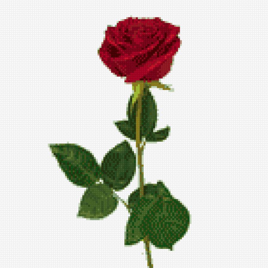 розочка - предпросмотр