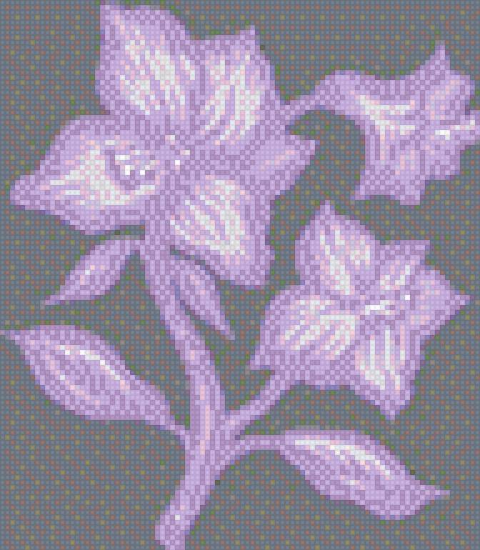 Ирис - ирис - предпросмотр