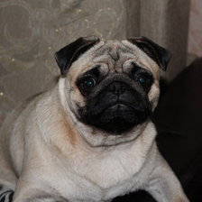 Схема вышивки «моя ярика»