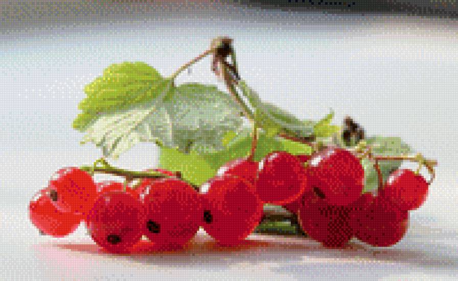 ягоды - предпросмотр