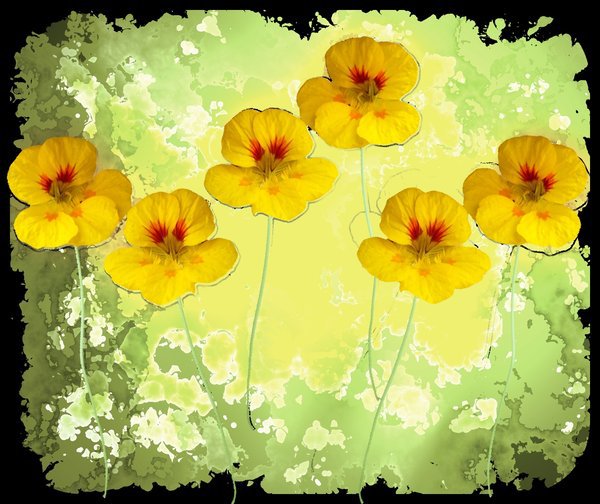 paradise - оригинал