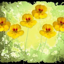 Схема вышивки «paradise»