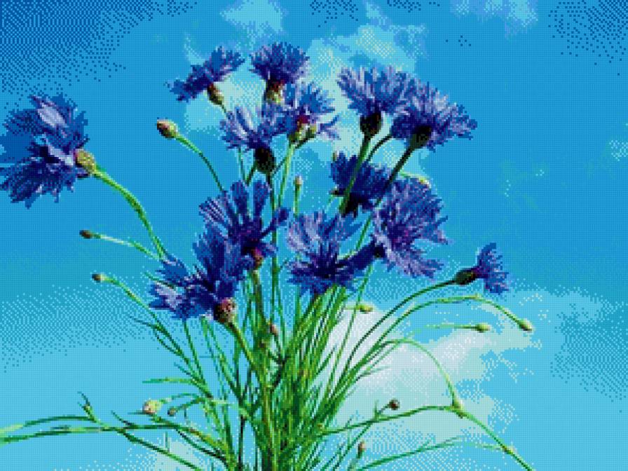 Васильки - васильки, цветы, настроение - предпросмотр