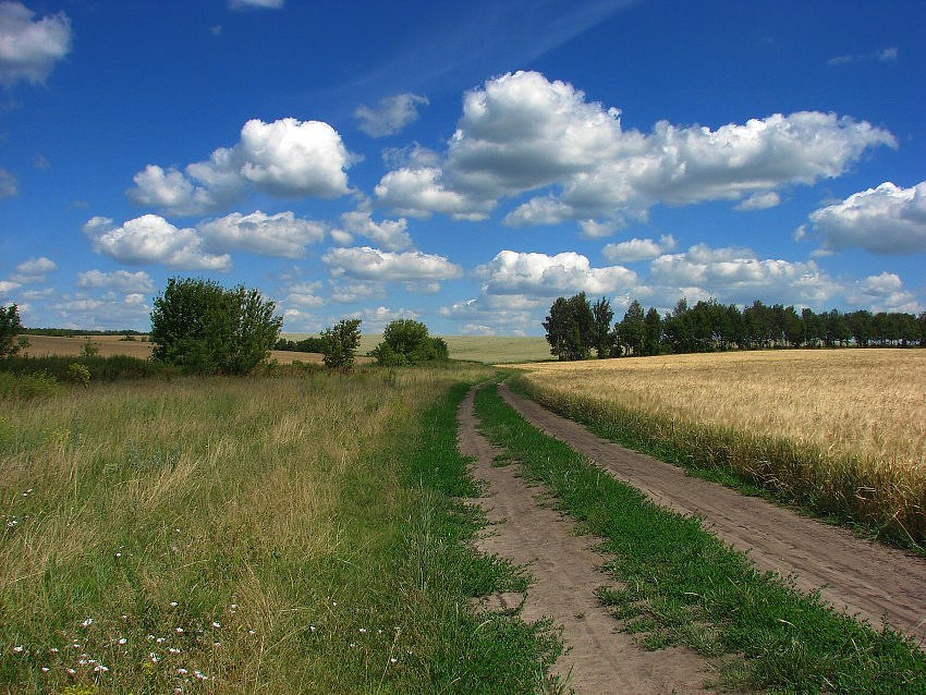 родные просторы - оригинал