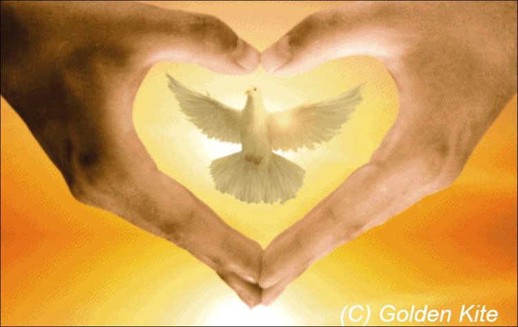 серия "птицы" - птицы.голубь.руки - оригинал