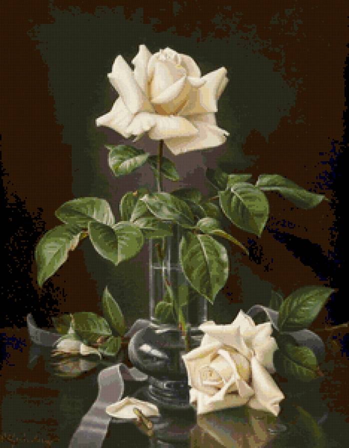 Белые розы - розы, цветы - предпросмотр