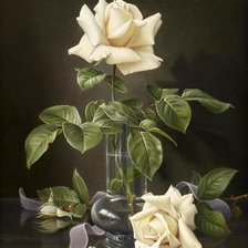 Оригинал схемы вышивки «Белые розы» (№882205)