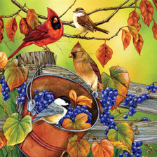 Схема вышивки «серия "птицы"»