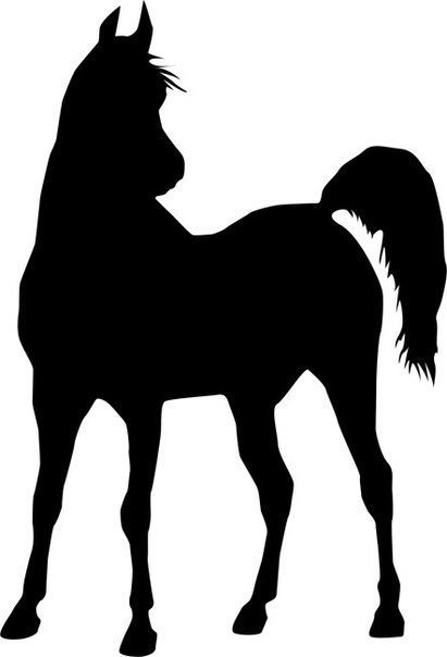 лошадь - лошадь, монохром, тень - оригинал