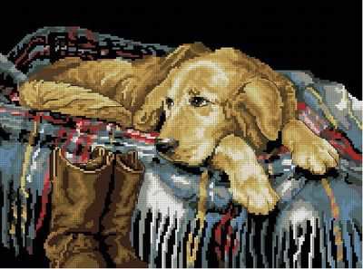 одинокий пес - собака, животные - оригинал