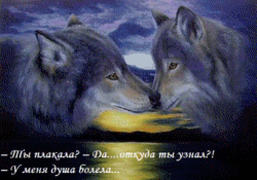 волки - предпросмотр