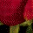 Предпросмотр схемы вышивки «роза» (№882745)