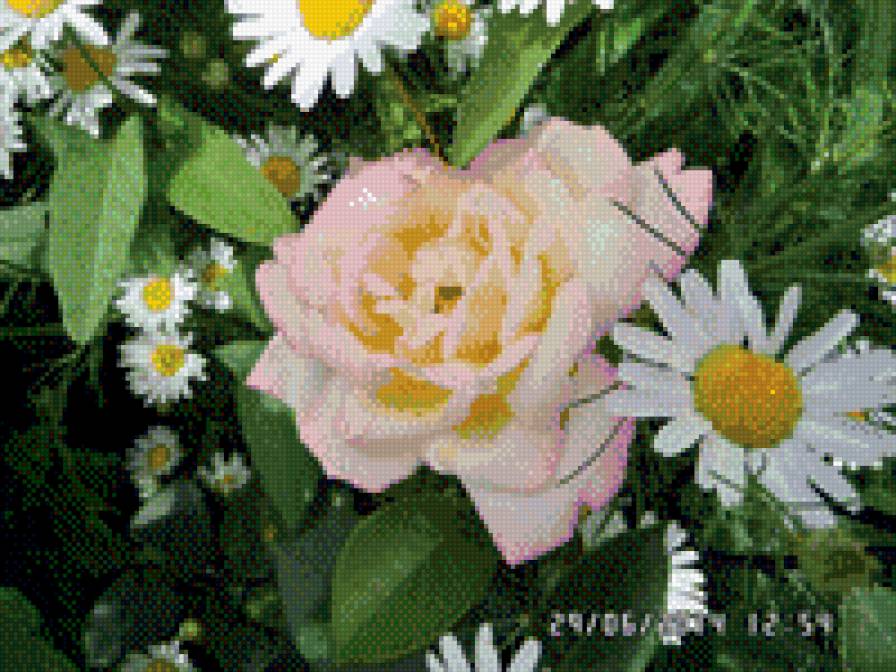 ромахи2 - предпросмотр