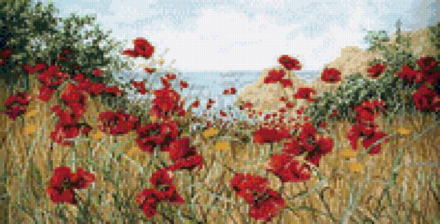 Маки у моря - предпросмотр