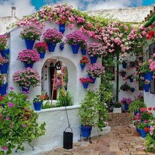 Схема вышивки «уютный садик»