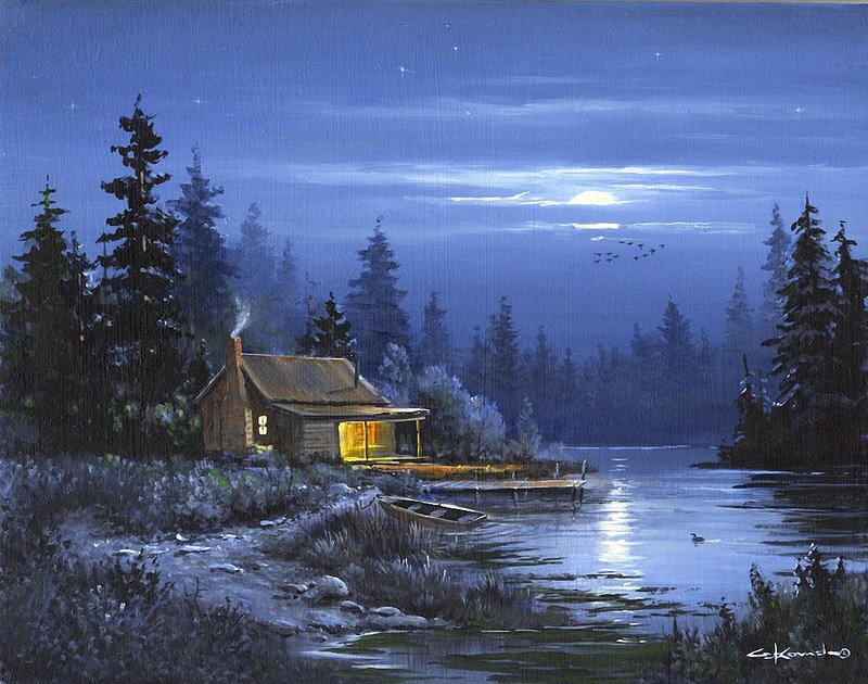 №883381 - птицы, дом, река, природа, ночь - оригинал