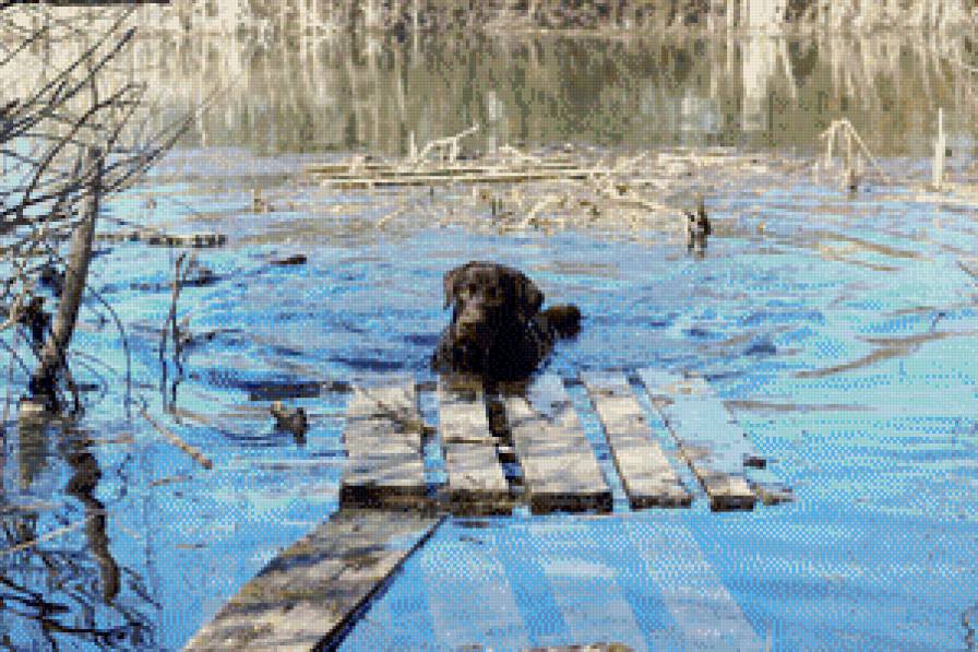 лабрадор - озеро, лабрадор - предпросмотр