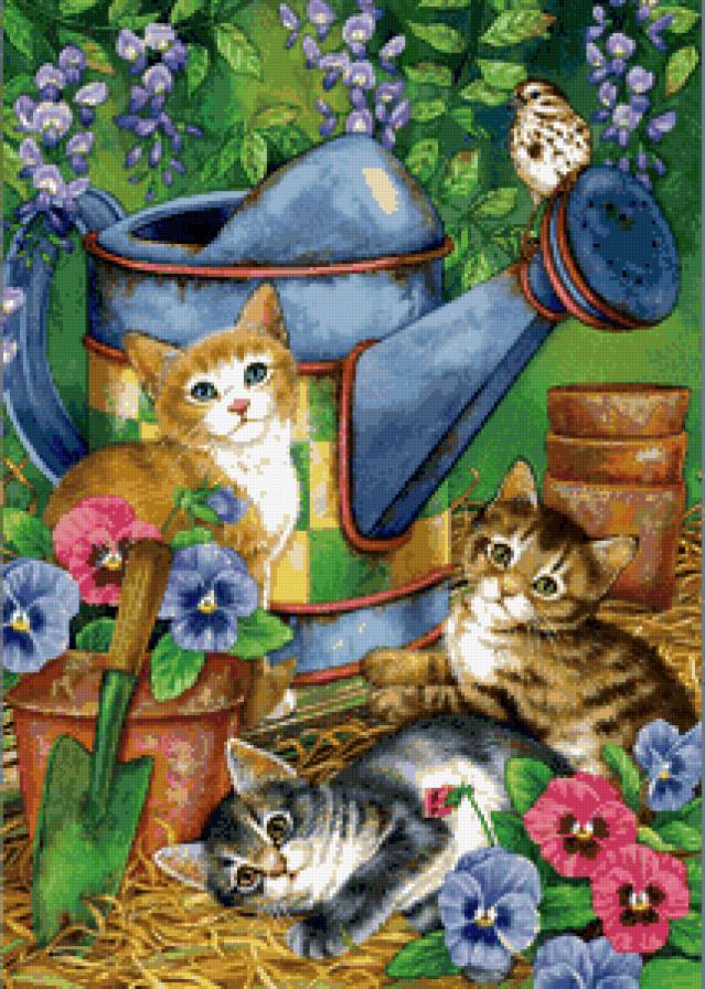 красавчики - котики, коты - предпросмотр