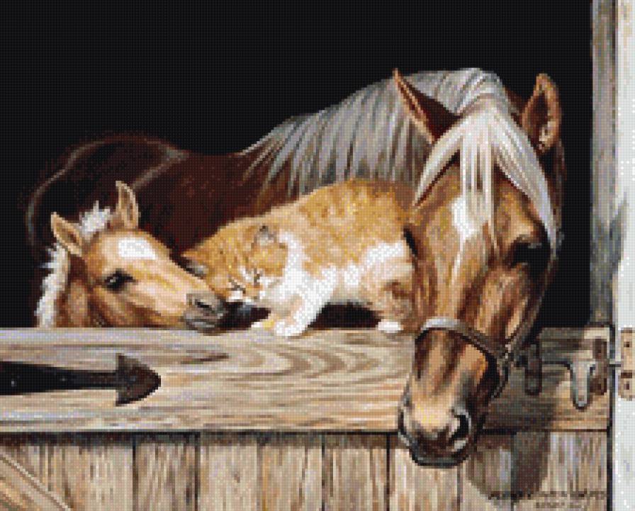 Дружба - лошадь, кошка - предпросмотр