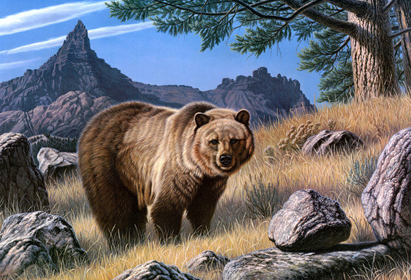 Медведь - оригинал