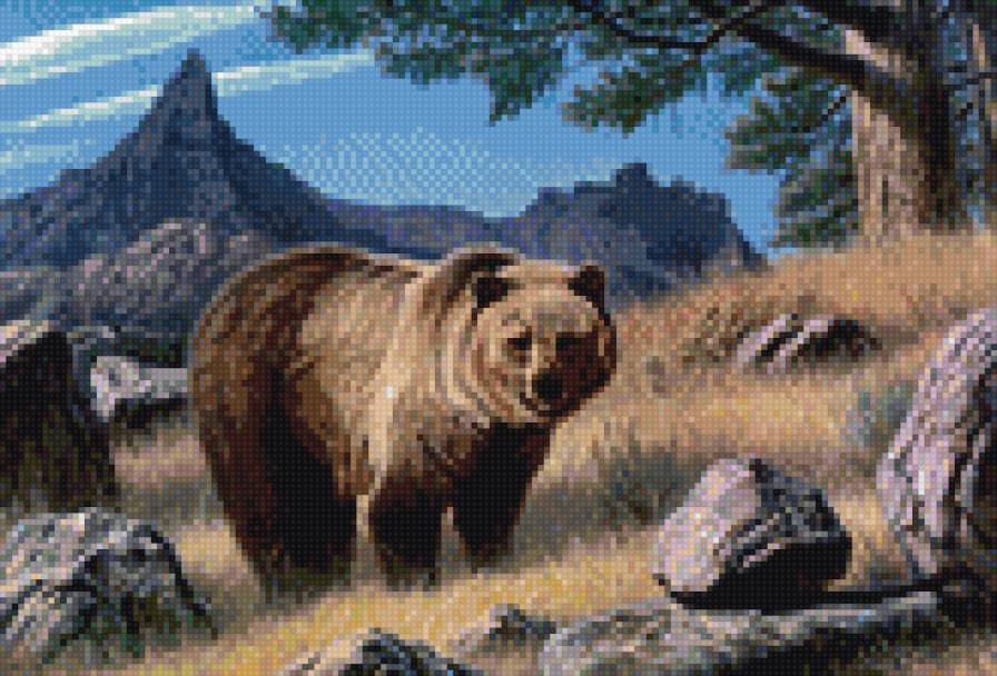 Медведь - предпросмотр