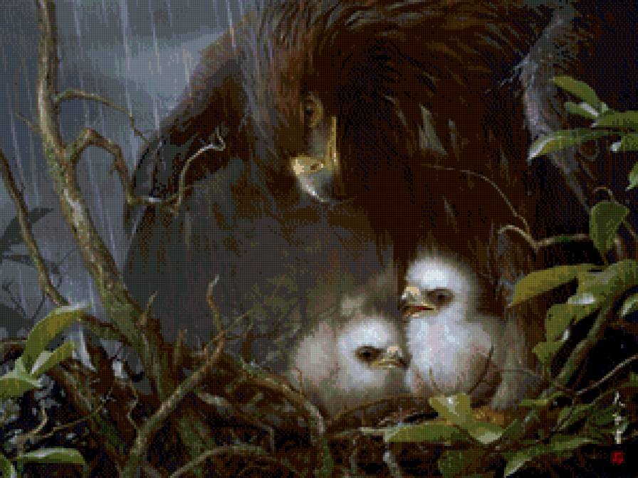 материнская забота - дождь, птицы, материнство, забота, птенцы, мать, орел - предпросмотр