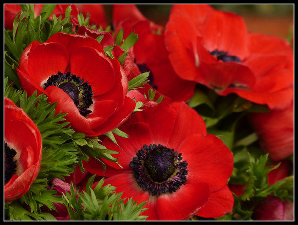 №884215 - оригинал