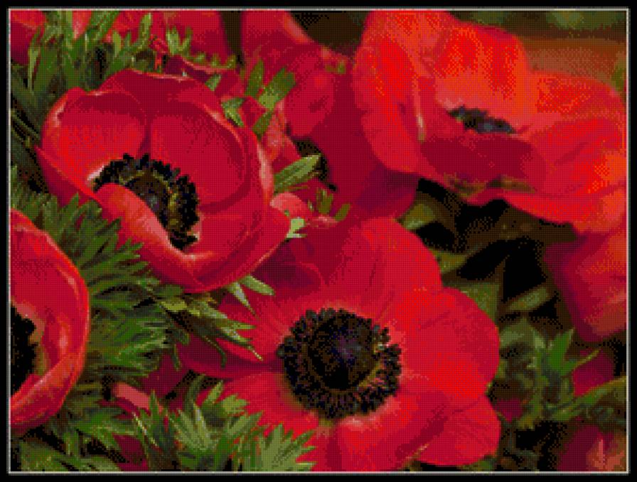 №884215 - предпросмотр