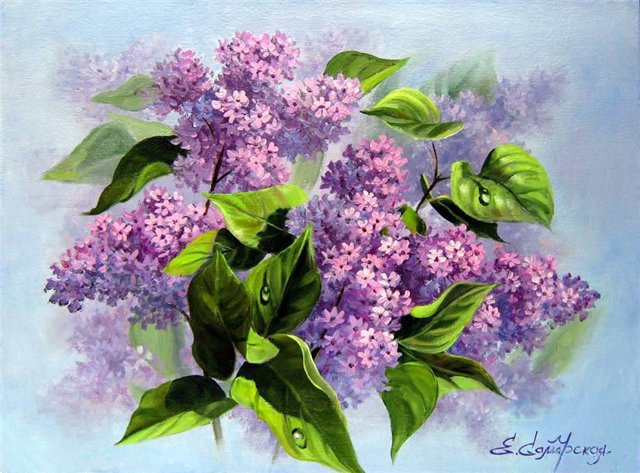 сирень - сирень - оригинал