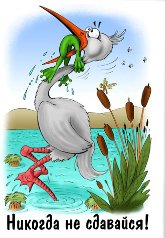 Никогда не сдавайся1 - оригинал