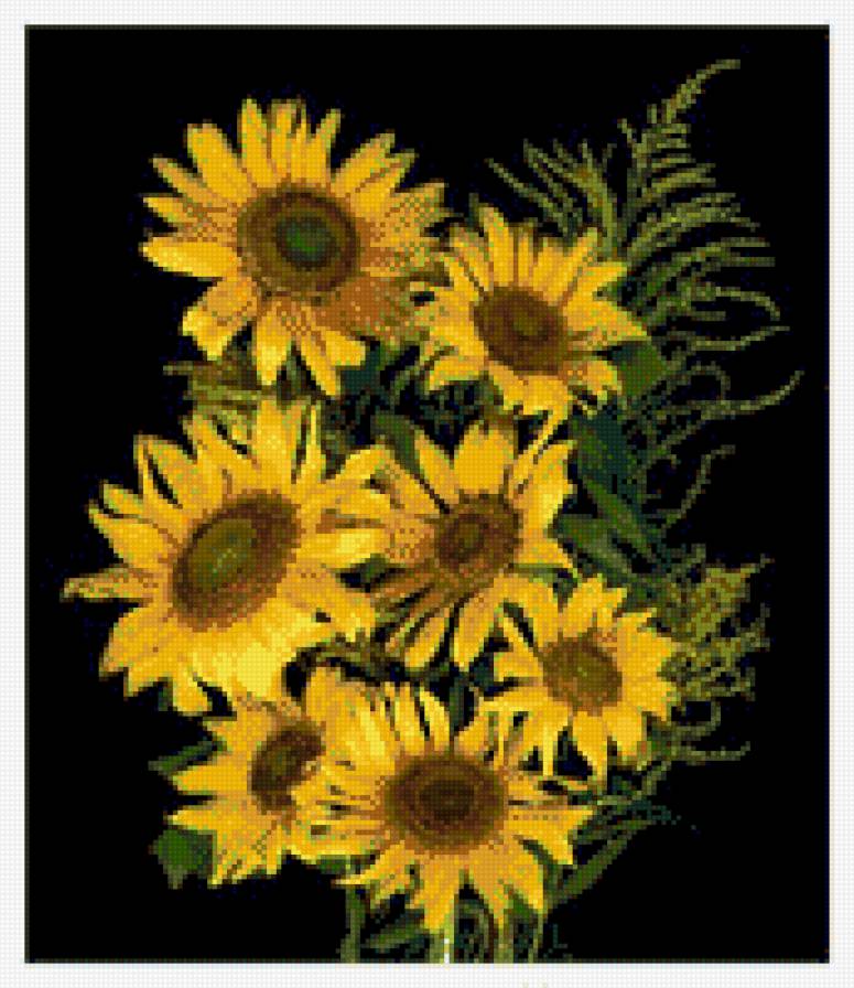 подсолнухи - подсолнухи - предпросмотр