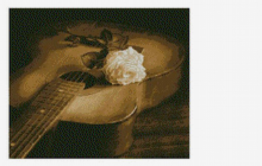 №884873 - предпросмотр