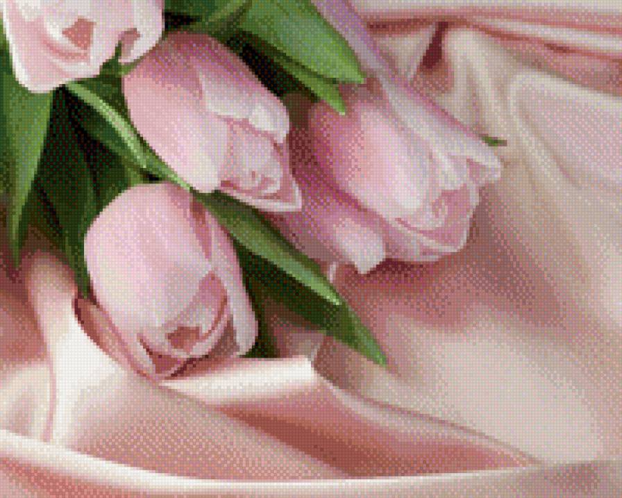 Цветы - букет, цветы, цветок, розовый - предпросмотр
