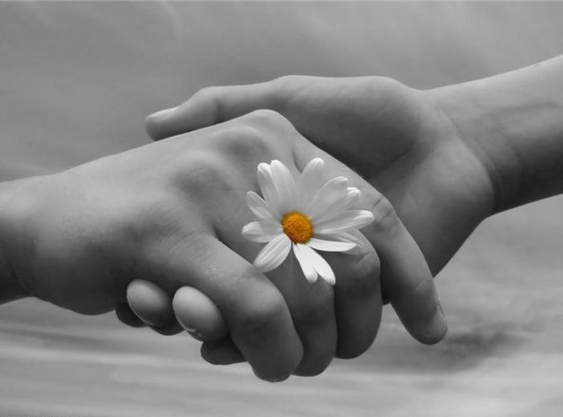 Рукопожатие - отношения, рукопожатие, пара, рука, цветок, любовь, ромашка - оригинал