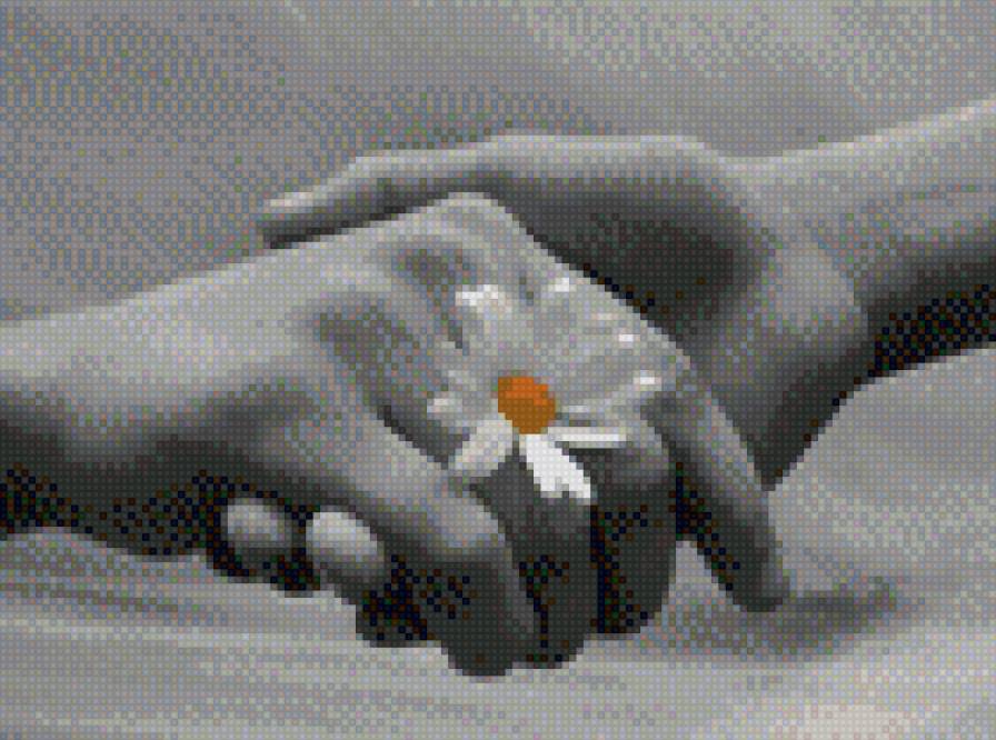 Рукопожатие - пара, ромашка, любовь, рука, рукопожатие, цветок, отношения - предпросмотр