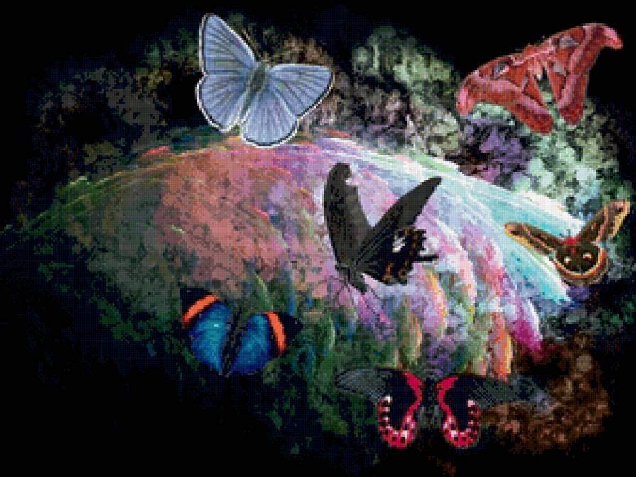 бабочки - бабочки - предпросмотр