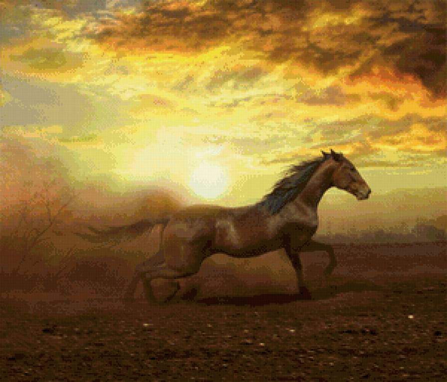 лошадь - лошадь, животные - предпросмотр