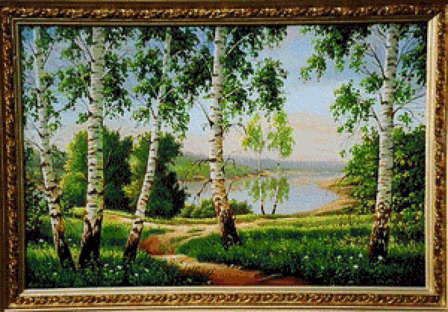 берёзы у реки - лето, березы, река - предпросмотр