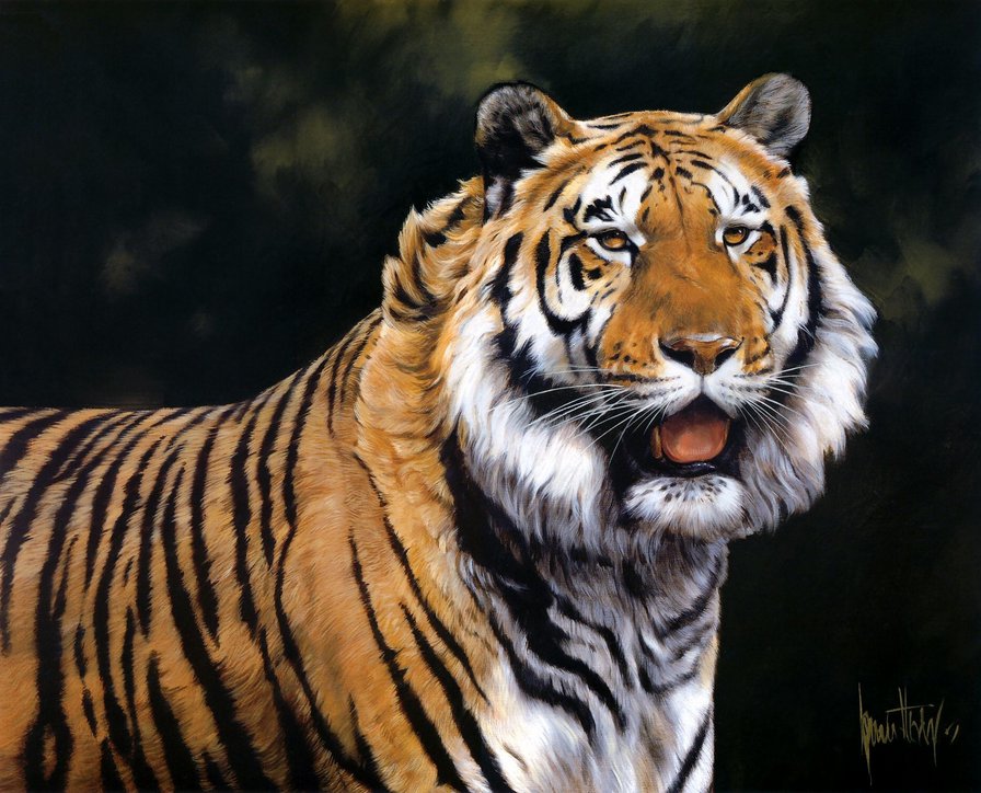 красивый тигр - рисунок, природа, кошки, тигр, панно, животные - оригинал