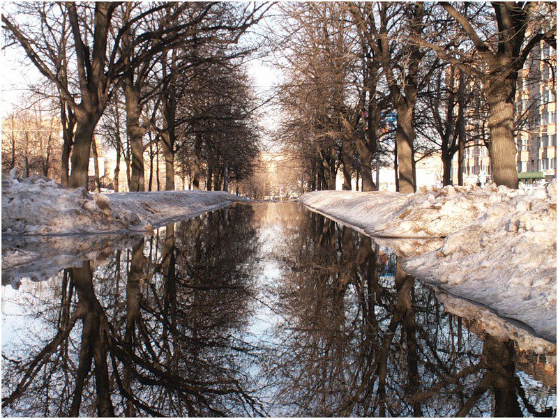 весна - весна, деревья, пейзаж, природа, парк - оригинал