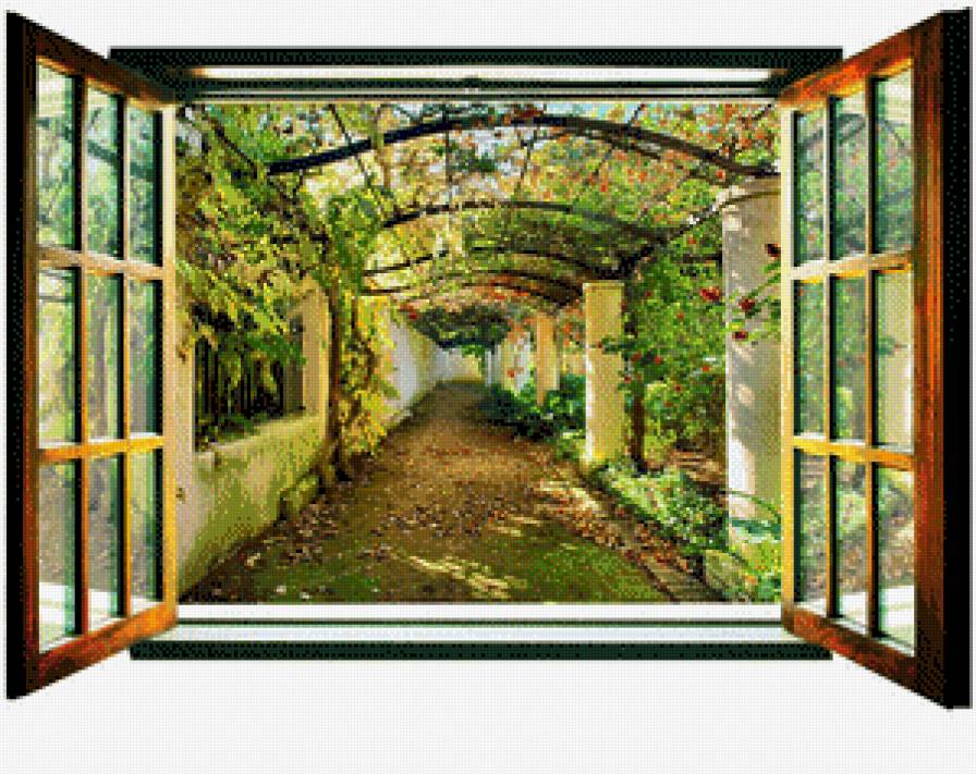 открытое окно - свежесть, природа, цветы, окно - предпросмотр