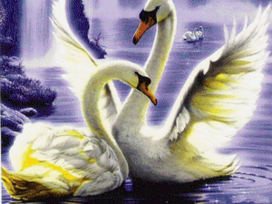 лебединная верность! - предпросмотр