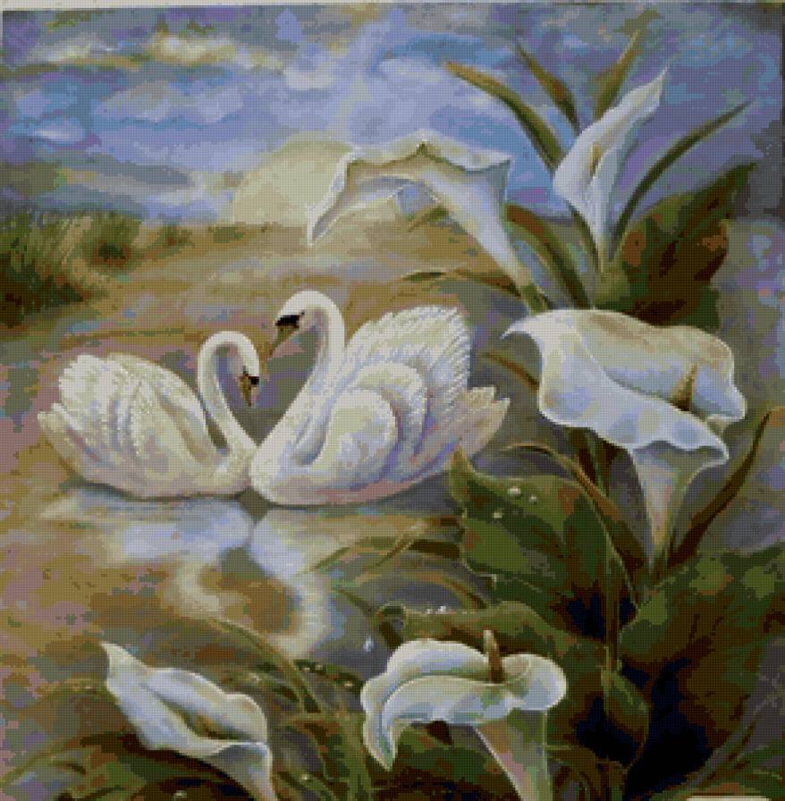 лебединная верность!! - оригинал