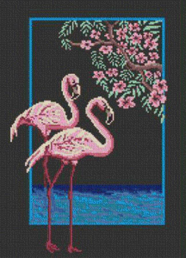 Фламинго - фламинго, птицы - предпросмотр